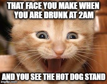Excited Cat Meme | THAT FACE YOU MAKE WHEN YOU ARE DRUNK AT 2AM; AND YOU SEE THE HOT DOG STAND | image tagged in memes,excited cat | made w/ Imgflip meme maker