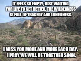 IT FEELS SO EMPTY, JUST WAITING FOR LIFE TO GET BETTER. THE WILDERNESS IS FULL OF TRAGEDY AND LONELINESS. I MISS YOU MORE AND MORE EACH DAY.  I PRAY WE WILL BE TOGETHER SOON. | image tagged in desert large dry,desert,missing,waiting,life,miracle | made w/ Imgflip meme maker