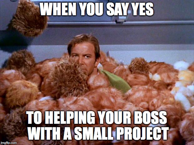 Kirk Tribbles | WHEN YOU SAY YES; TO HELPING YOUR BOSS WITH A SMALL PROJECT | image tagged in kirk tribbles | made w/ Imgflip meme maker