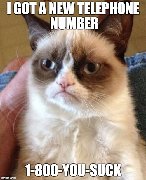 Feeling abnormally happy? Call Grumpy Cat, and he'll turn that smile upside-down! | I GOT A NEW TELEPHONE NUMBER; 1-800-YOU-SUCK | image tagged in memes,grumpy cat | made w/ Imgflip meme maker