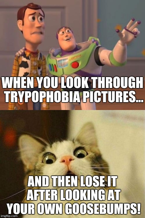 Aftereffects of trypophobia. | WHEN YOU LOOK THROUGH TRYPOPHOBIA PICTURES... AND THEN LOSE IT AFTER LOOKING AT YOUR OWN GOOSEBUMPS! | image tagged in funny,memes,buzz look an alien,scared cat,phobia,nope | made w/ Imgflip meme maker