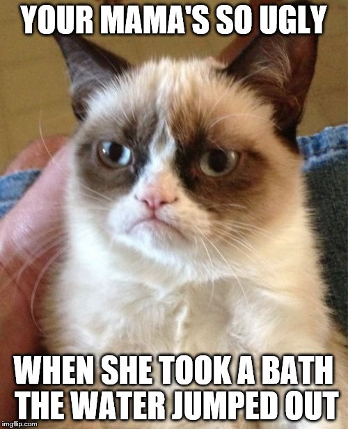 Grumpy Cat | YOUR MAMA'S SO UGLY; WHEN SHE TOOK A BATH THE WATER JUMPED OUT | image tagged in memes,grumpy cat | made w/ Imgflip meme maker