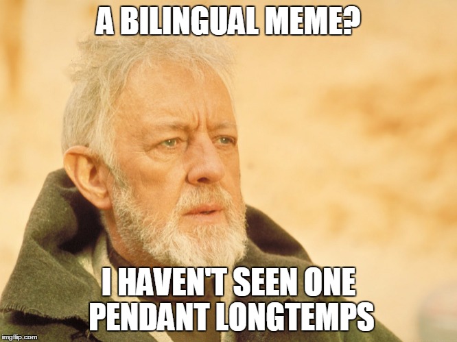 A BILINGUAL MEME? I HAVEN'T SEEN ONE PENDANT LONGTEMPS | made w/ Imgflip meme maker