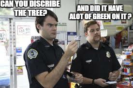 that tree has constantly got wood | CAN YOU DISCRIBE THE TREE? AND DID IT HAVE ALOT OF GREEN ON IT ? | image tagged in memes,10guy,drugs,superbad,viagra | made w/ Imgflip meme maker