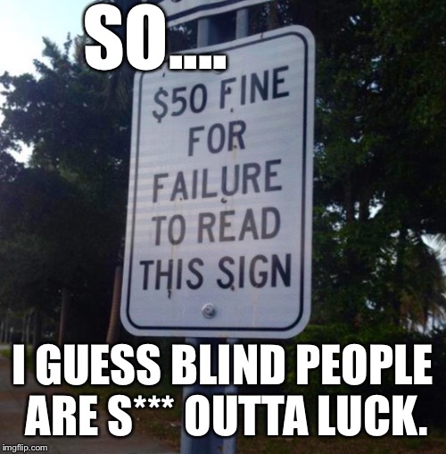 There Oughta Be A Law Against...This Law: | SO.... I GUESS BLIND PEOPLE ARE S*** OUTTA LUCK. | image tagged in memes,funny street signs | made w/ Imgflip meme maker