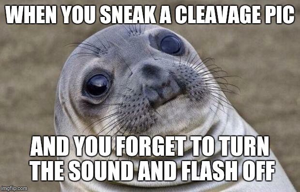Awkward Moment Sealion Meme | WHEN YOU SNEAK A CLEAVAGE PIC; AND YOU FORGET TO TURN THE SOUND AND FLASH OFF | image tagged in memes,awkward moment sealion | made w/ Imgflip meme maker