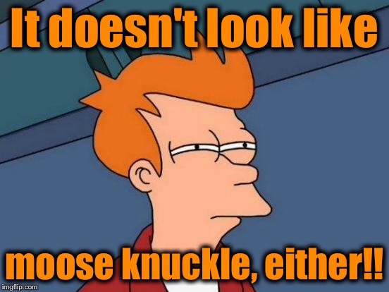 Futurama Fry Meme | It doesn't look like moose knuckle, either!! | image tagged in memes,futurama fry | made w/ Imgflip meme maker