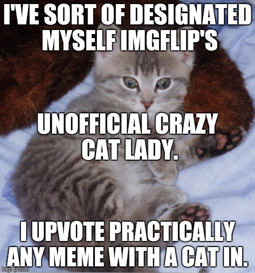 Cute_Thomas_Kitten | I'VE SORT OF DESIGNATED MYSELF IMGFLIP'S I UPVOTE PRACTICALLY ANY MEME WITH A CAT IN. UNOFFICIAL CRAZY CAT LADY. | image tagged in cute_thomas_kitten | made w/ Imgflip meme maker