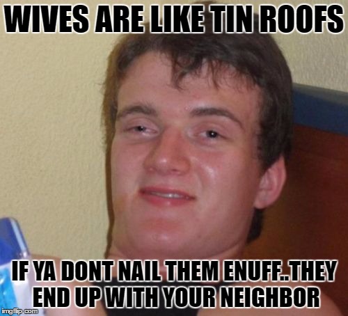 wives | WIVES ARE LIKE TIN ROOFS; IF YA DONT NAIL THEM ENUFF..THEY END UP WITH YOUR NEIGHBOR | image tagged in memes,10 guy | made w/ Imgflip meme maker