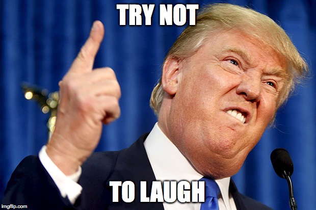 Donald Trump | TRY NOT; TO LAUGH | image tagged in donald trump | made w/ Imgflip meme maker