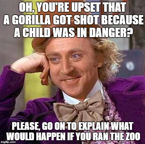 Creepy Condescending Wonka Meme | OH, YOU'RE UPSET THAT A GORILLA GOT SHOT BECAUSE A CHILD WAS IN DANGER? PLEASE, GO ON TO EXPLAIN WHAT WOULD HAPPEN IF YOU RAN THE ZOO | image tagged in memes,creepy condescending wonka | made w/ Imgflip meme maker