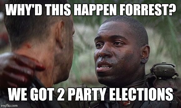 bubba | WHY'D THIS HAPPEN FORREST? WE GOT 2 PARTY ELECTIONS | image tagged in bubba | made w/ Imgflip meme maker