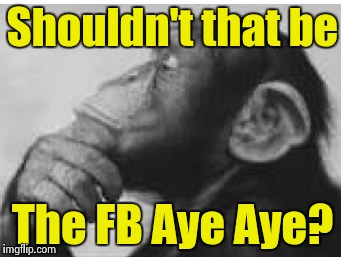 Shouldn't that be The FB Aye Aye? | made w/ Imgflip meme maker