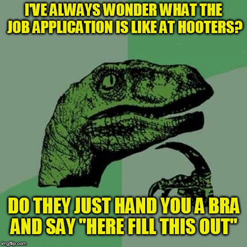 Philosoraptor | I'VE ALWAYS WONDER WHAT THE JOB APPLICATION IS LIKE AT HOOTERS? DO THEY JUST HAND YOU A BRA AND SAY ''HERE FILL THIS OUT'' | image tagged in memes,philosoraptor,hooters,underwear,job interview,big boobs | made w/ Imgflip meme maker