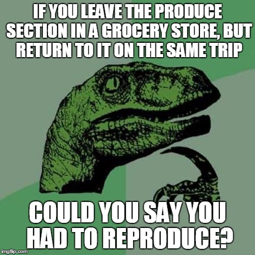 Philosoraptor Meme | IF YOU LEAVE THE PRODUCE SECTION IN A GROCERY STORE, BUT RETURN TO IT ON THE SAME TRIP; COULD YOU SAY YOU HAD TO REPRODUCE? | image tagged in memes,philosoraptor | made w/ Imgflip meme maker