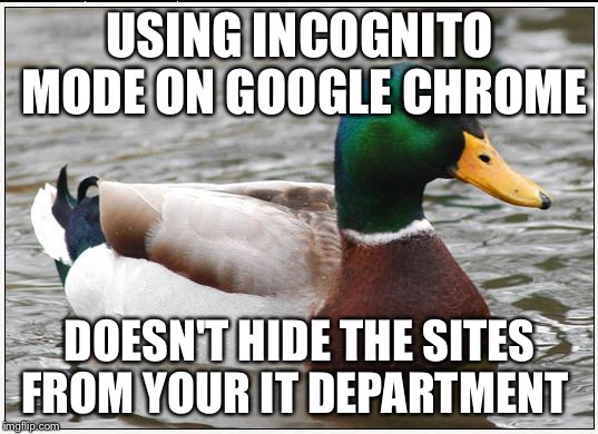 Actual Advice Mallard Meme | USING INCOGNITO MODE ON GOOGLE CHROME; DOESN'T HIDE THE SITES FROM YOUR IT DEPARTMENT | image tagged in memes,actual advice mallard,AdviceAnimals | made w/ Imgflip meme maker