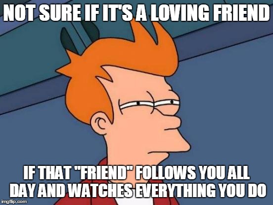 NOT SURE IF IT'S A LOVING FRIEND IF THAT "FRIEND" FOLLOWS YOU ALL DAY AND WATCHES EVERYTHING YOU DO | image tagged in memes,futurama fry | made w/ Imgflip meme maker