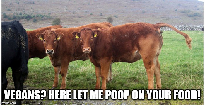 VEGANS? HERE LET ME POOP ON YOUR FOOD! | made w/ Imgflip meme maker