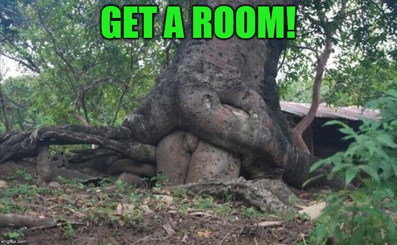 GET A ROOM! | made w/ Imgflip meme maker