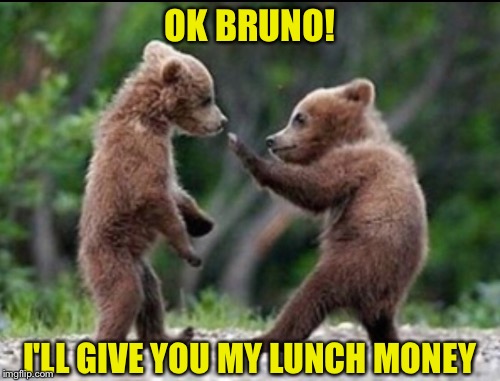 OK BRUNO! I'LL GIVE YOU MY LUNCH MONEY | image tagged in bear | made w/ Imgflip meme maker