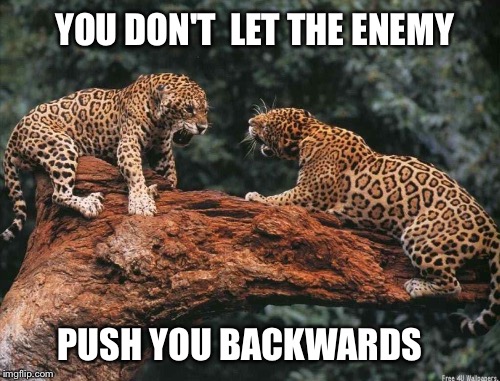 Leopard Specialized Combat Training | YOU DON'T  LET THE ENEMY; PUSH YOU BACKWARDS | image tagged in leopard | made w/ Imgflip meme maker