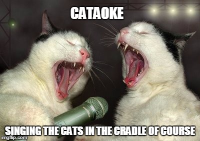 CATAOKE; SINGING THE CATS IN THE CRADLE OF COURSE | image tagged in cats | made w/ Imgflip meme maker