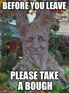 Trees | BEFORE YOU LEAVE; PLEASE TAKE A BOUGH | image tagged in tree,memes,puns,bad puns | made w/ Imgflip meme maker