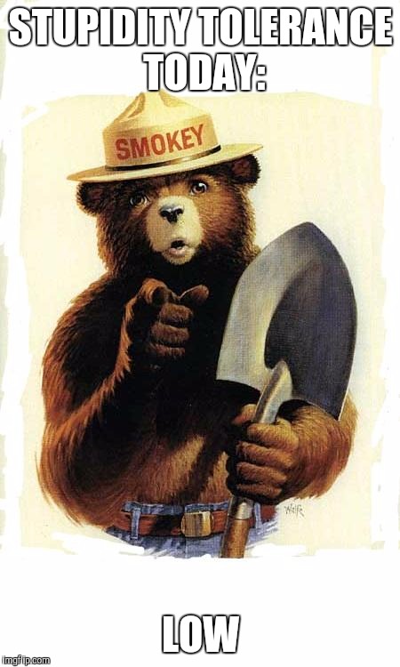Smokey The Bear | STUPIDITY TOLERANCE TODAY:; LOW | image tagged in smokey the bear | made w/ Imgflip meme maker