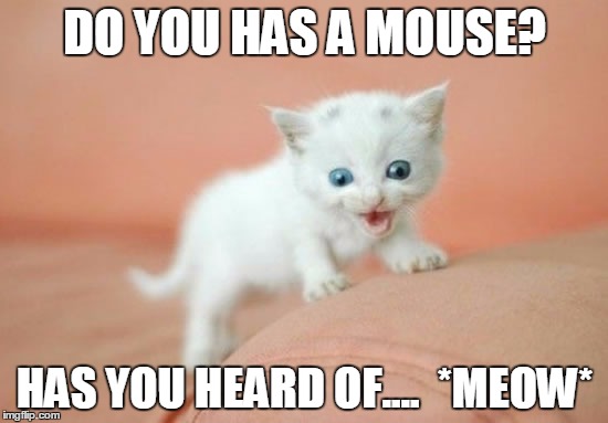 Cute Cat: Strikes Back!!!! | DO YOU HAS A MOUSE? HAS YOU HEARD OF....  *MEOW* | image tagged in memes,cat,kitten,cute | made w/ Imgflip meme maker