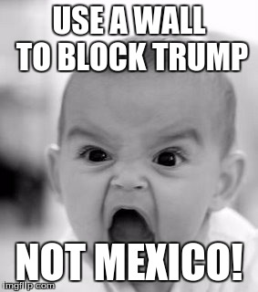 Angry Baby | USE A WALL TO BLOCK TRUMP; NOT MEXICO! | image tagged in memes,angry baby | made w/ Imgflip meme maker
