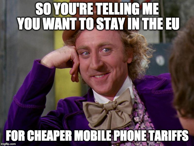 charlie-chocolate-factory | SO YOU'RE TELLING ME YOU WANT TO STAY IN THE EU; FOR CHEAPER MOBILE PHONE TARIFFS | image tagged in charlie-chocolate-factory | made w/ Imgflip meme maker