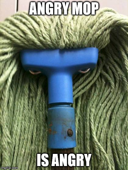 angry mop | ANGRY MOP; IS ANGRY | image tagged in angry mop | made w/ Imgflip meme maker