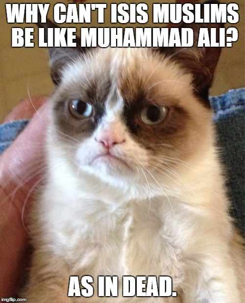 That's Grumpy Cat's thinking. My thinking is that it would be great if ISIS muslims were non-violent like Ali wanted them to be. | WHY CAN'T ISIS MUSLIMS BE LIKE MUHAMMAD ALI? AS IN DEAD. | image tagged in memes,grumpy cat | made w/ Imgflip meme maker