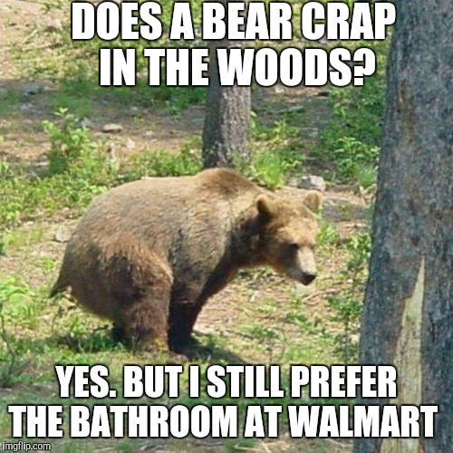 DOES A BEAR CRAP IN THE WOODS? YES. BUT I STILL PREFER THE BATHROOM AT WALMART | image tagged in bear | made w/ Imgflip meme maker