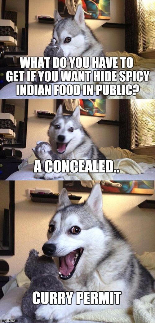 Bad Pun Dog | WHAT DO YOU HAVE TO GET IF YOU WANT HIDE SPICY INDIAN FOOD IN PUBLIC? A CONCEALED.. CURRY PERMIT | image tagged in memes,bad pun dog | made w/ Imgflip meme maker