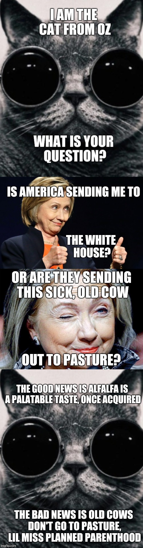 The Cat From Oz | IS AMERICA SENDING ME TO; THE WHITE HOUSE? OR ARE THEY SENDING THIS SICK, OLD COW; OUT TO PASTURE? THE GOOD NEWS IS ALFALFA IS A PALATABLE TASTE, ONCE ACQUIRED; THE BAD NEWS IS OLD COWS DON'T GO TO PASTURE, LIL MISS PLANNED PARENTHOOD | image tagged in wizard of oz | made w/ Imgflip meme maker