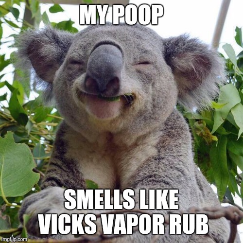 Smiling Koala | MY POOP; SMELLS LIKE VICKS VAPOR RUB | image tagged in smiling koala | made w/ Imgflip meme maker