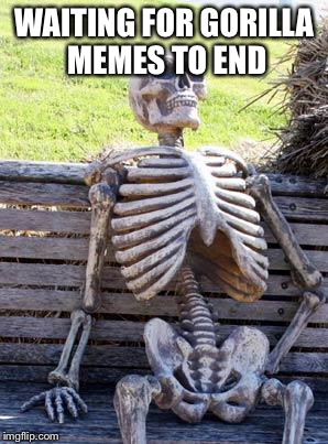 Waiting Skeleton Meme | WAITING FOR GORILLA MEMES TO END | image tagged in memes,waiting skeleton | made w/ Imgflip meme maker