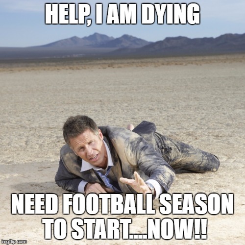 football | HELP, I AM DYING; NEED FOOTBALL SEASON TO START....NOW!! | image tagged in football | made w/ Imgflip meme maker
