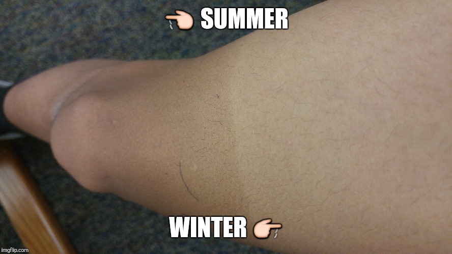 Summer vs Winter  | 👈 SUMMER; WINTER 👉 | image tagged in summer,winter | made w/ Imgflip meme maker