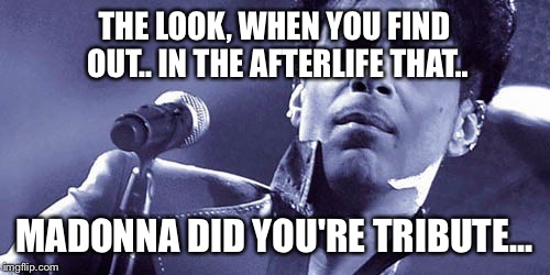 THE LOOK, WHEN YOU FIND OUT.. IN THE AFTERLIFE THAT.. MADONNA DID YOU'RE TRIBUTE... | image tagged in prince | made w/ Imgflip meme maker
