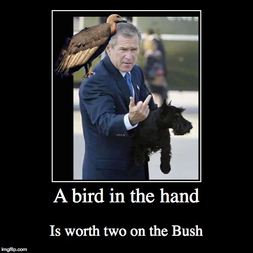 A bit of an edit on the old adage | A bird in the hand | Is worth two on the Bush | image tagged in funny,demotivationals,george bush | made w/ Imgflip demotivational maker