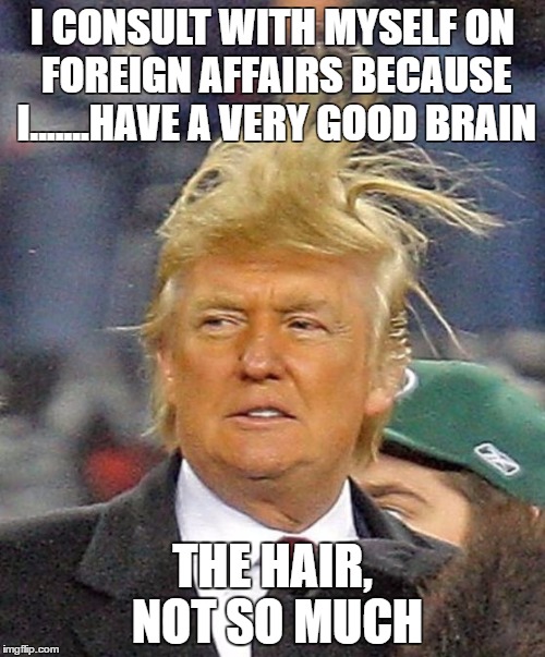 Donald Trumph hair | I CONSULT WITH MYSELF ON FOREIGN AFFAIRS BECAUSE I.......HAVE A VERY GOOD BRAIN; THE HAIR, NOT SO MUCH | image tagged in donald trumph hair | made w/ Imgflip meme maker