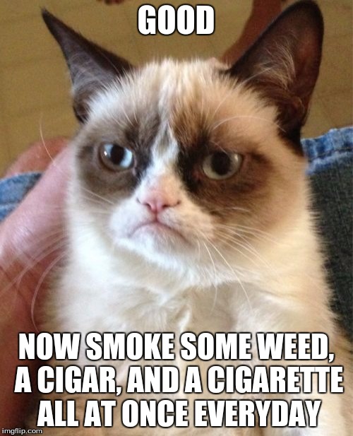 Grumpy Cat Meme | GOOD NOW SMOKE SOME WEED, A CIGAR, AND A CIGARETTE ALL AT ONCE EVERYDAY | image tagged in memes,grumpy cat | made w/ Imgflip meme maker