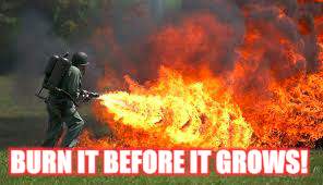 BURN IT BEFORE IT GROWS! | made w/ Imgflip meme maker