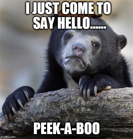 Confession Bear | I JUST COME TO SAY HELLO...... PEEK-A-BOO | image tagged in memes,confession bear,scumbag | made w/ Imgflip meme maker