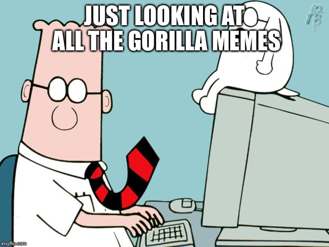 Dilbert | JUST LOOKING AT ALL THE GORILLA MEMES | image tagged in memes,funny,funny memes,dogs | made w/ Imgflip meme maker