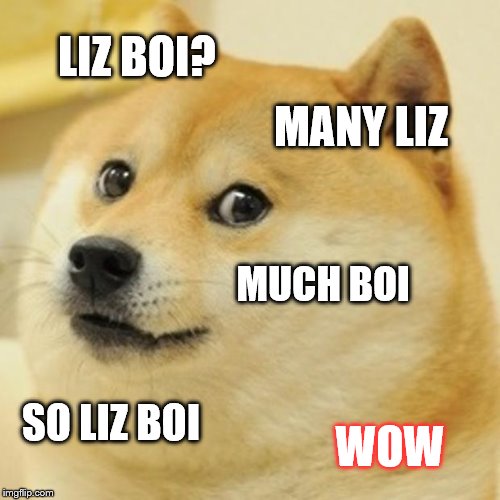 Doge Meme | LIZ BOI? MANY LIZ; MUCH BOI; SO LIZ BOI; WOW | image tagged in memes,doge | made w/ Imgflip meme maker