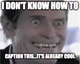 I DON'T KNOW HOW TO; CAPTION THIS...IT'S ALREADY COOL | image tagged in willem | made w/ Imgflip meme maker