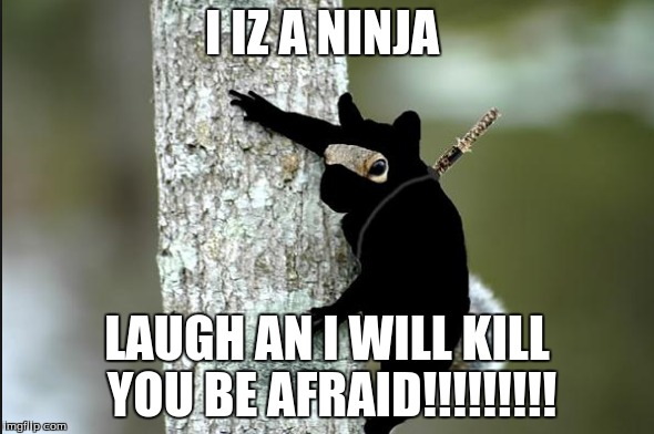 I IZ A NINJA | I IZ A NINJA; LAUGH AN I WILL KILL YOU BE AFRAID!!!!!!!!! | image tagged in obi-wan-kenobi i've not heard that in a long time | made w/ Imgflip meme maker